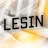 LESIN